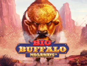 game logo by Skywind Group on rhino-bet.uk.com