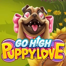 game logo by RubyPlay on rhino-bet.uk.com