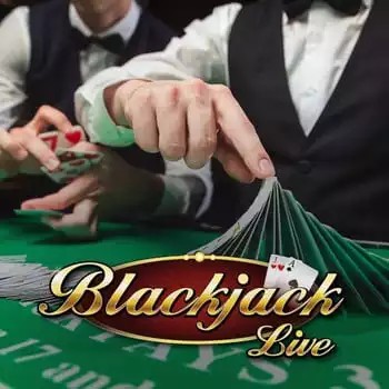 Live Blackjack logo by Pragmatic Live at Rhinobet CasinoLive Blackjack